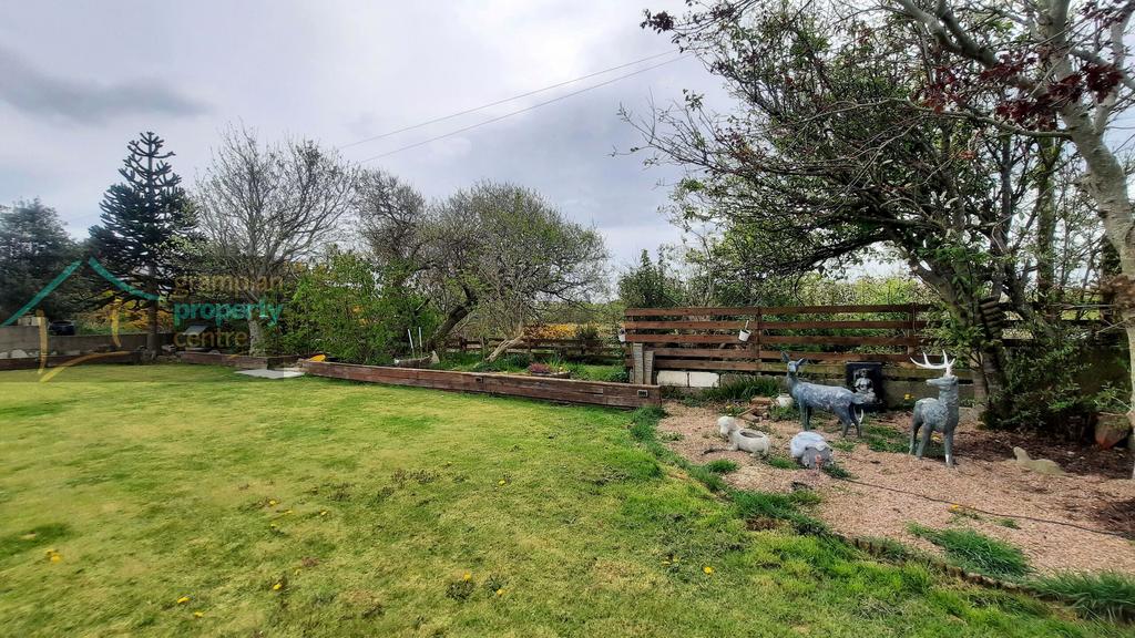 New garden 2