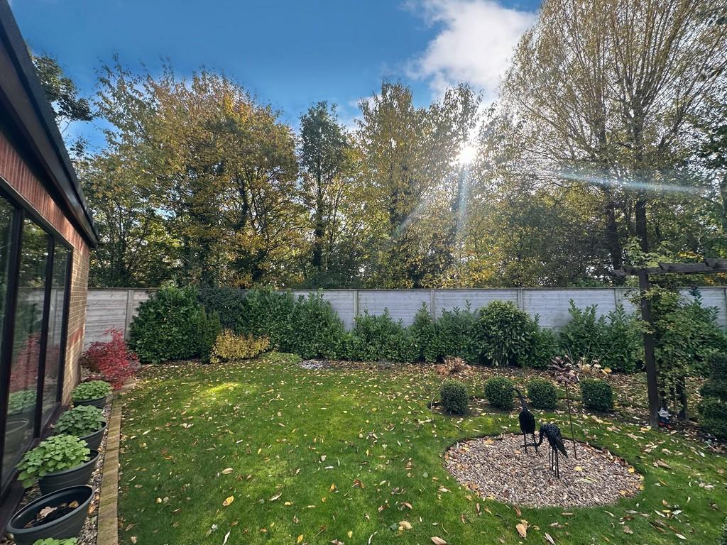 Garden 3
