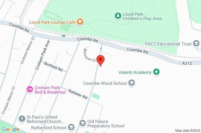 Google Maps Image