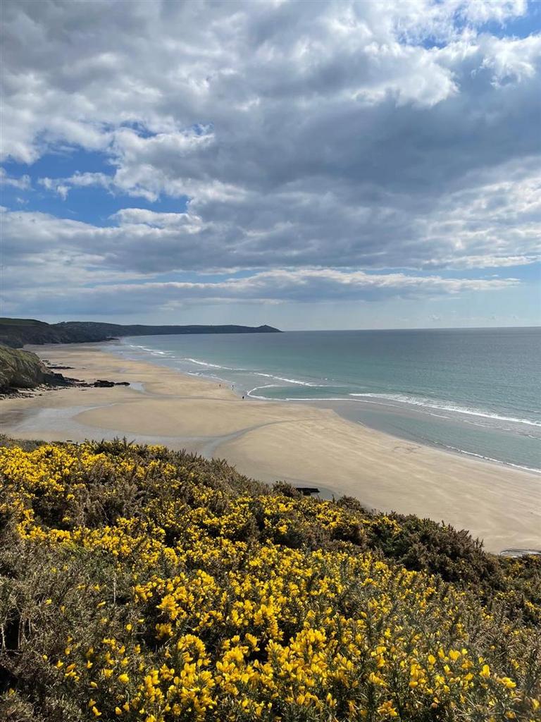 Whitsand bay beach 2.jpeg