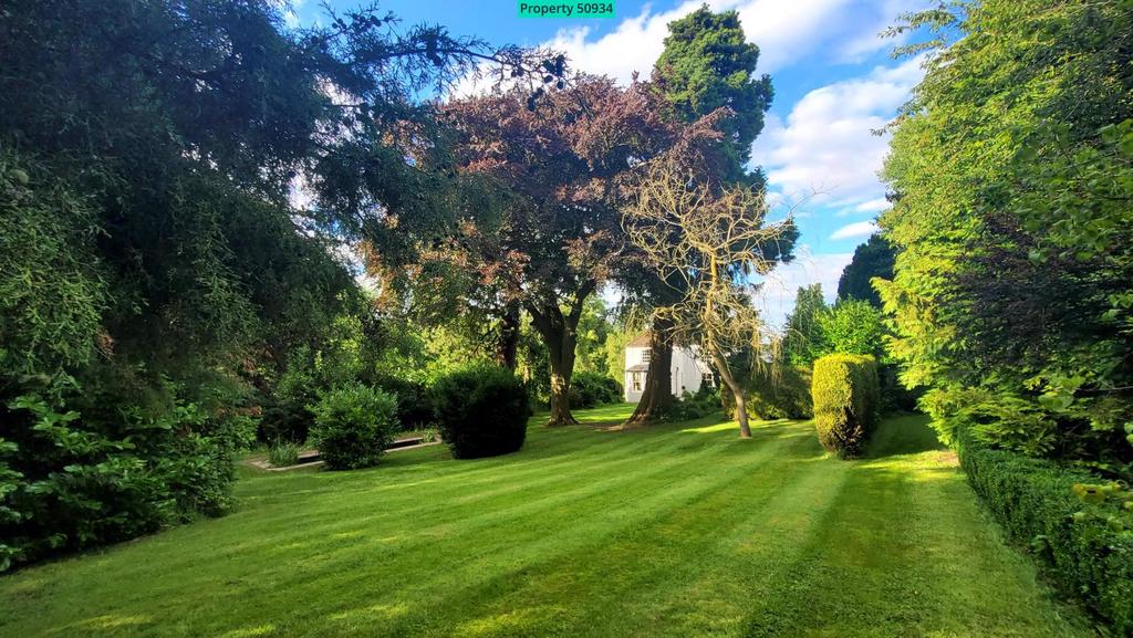 Part of your rear garden
