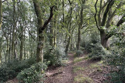 Farm land for sale, Porlock, Minehead