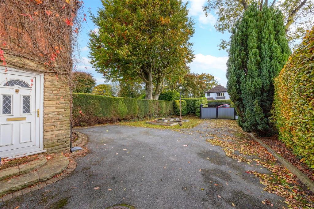 Driveway and Gardens