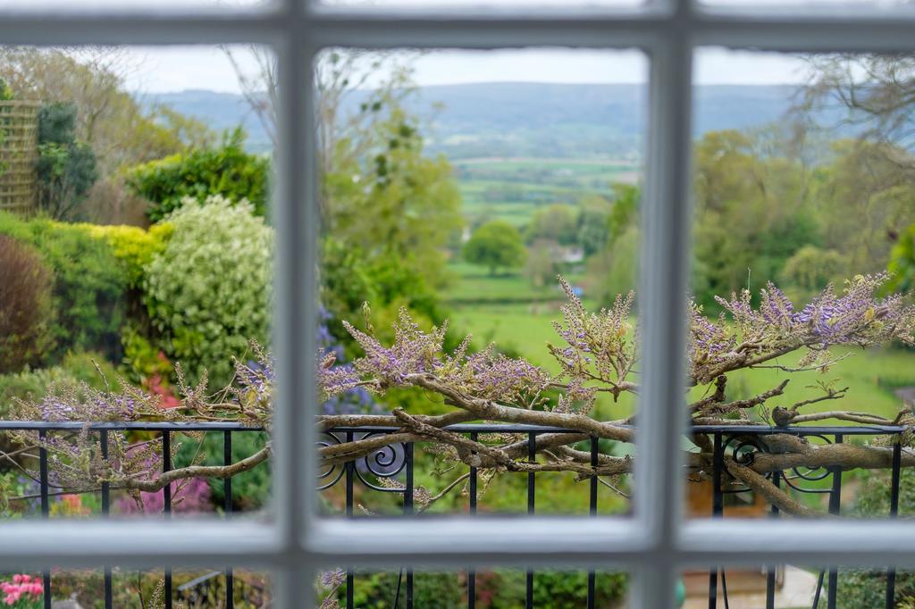 Mendip Hills