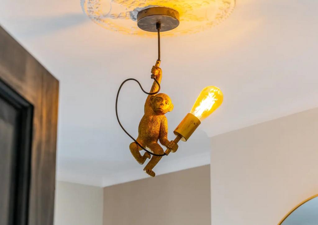 Monkey Light detail