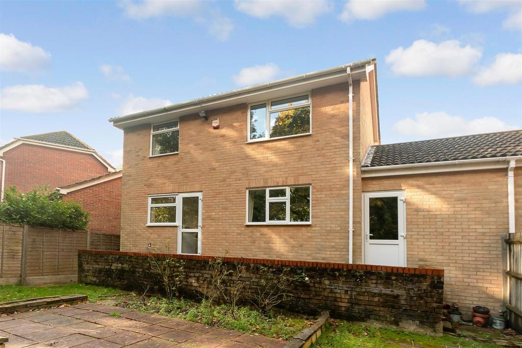 Rear Elevation