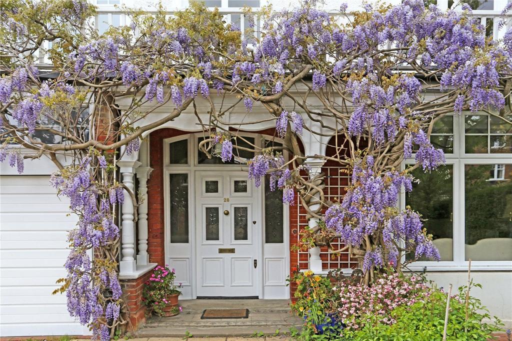 Wisteria