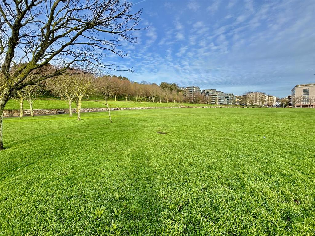Park.jpg