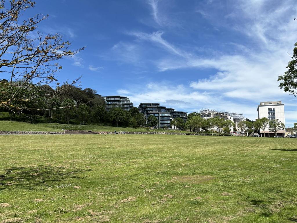 Park view.jpg