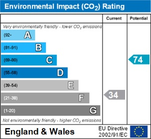 Environment Impact