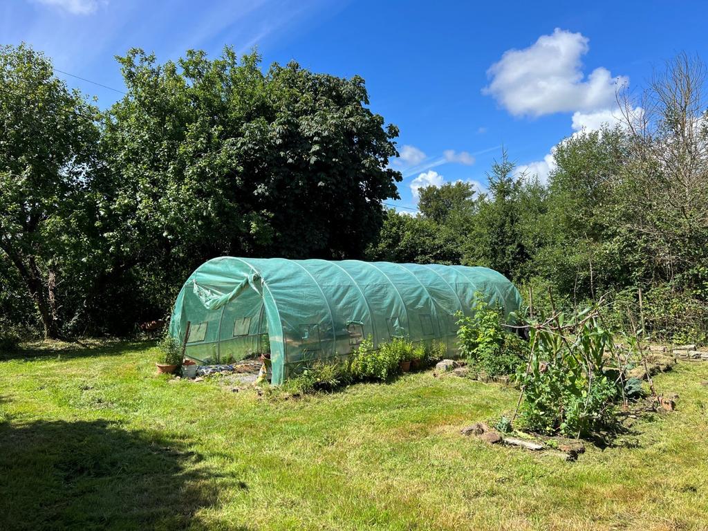 Polytunnel