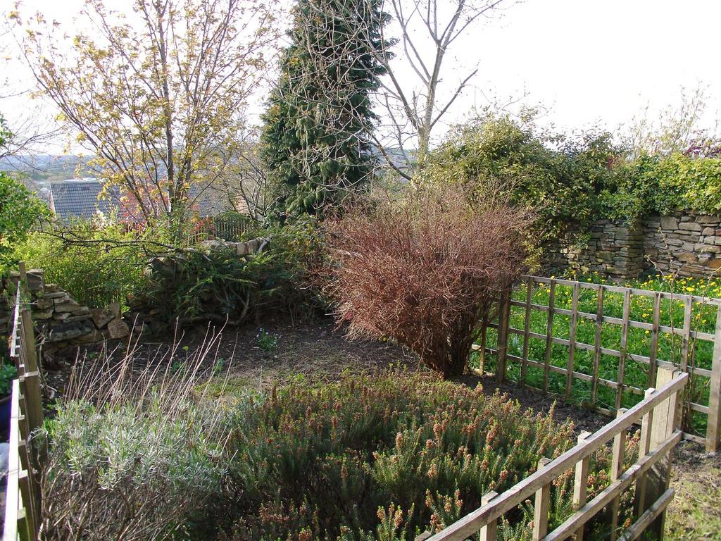 8 . garden (1).JPG