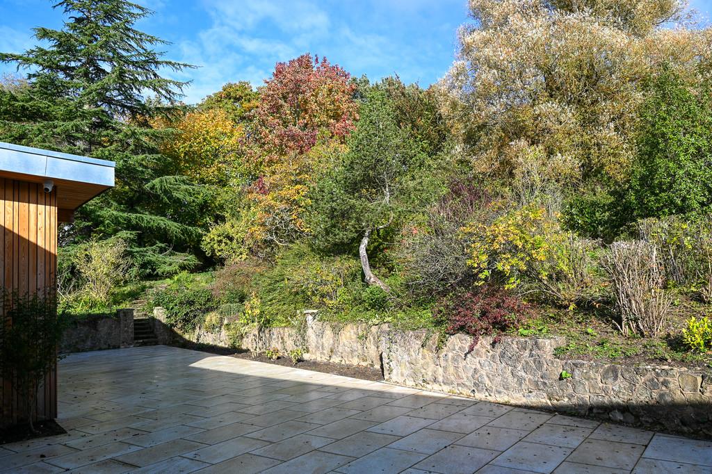 Dsc 7774
