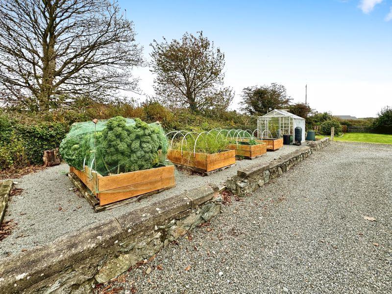 Plant Beds