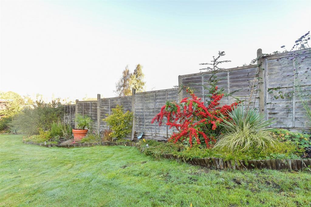 Rear Garden (Original)