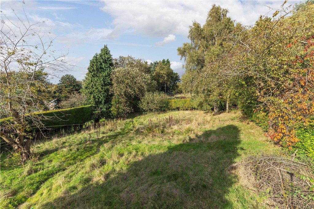 Expansive Land