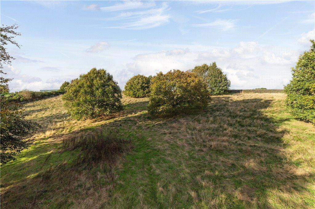 Expansive Land