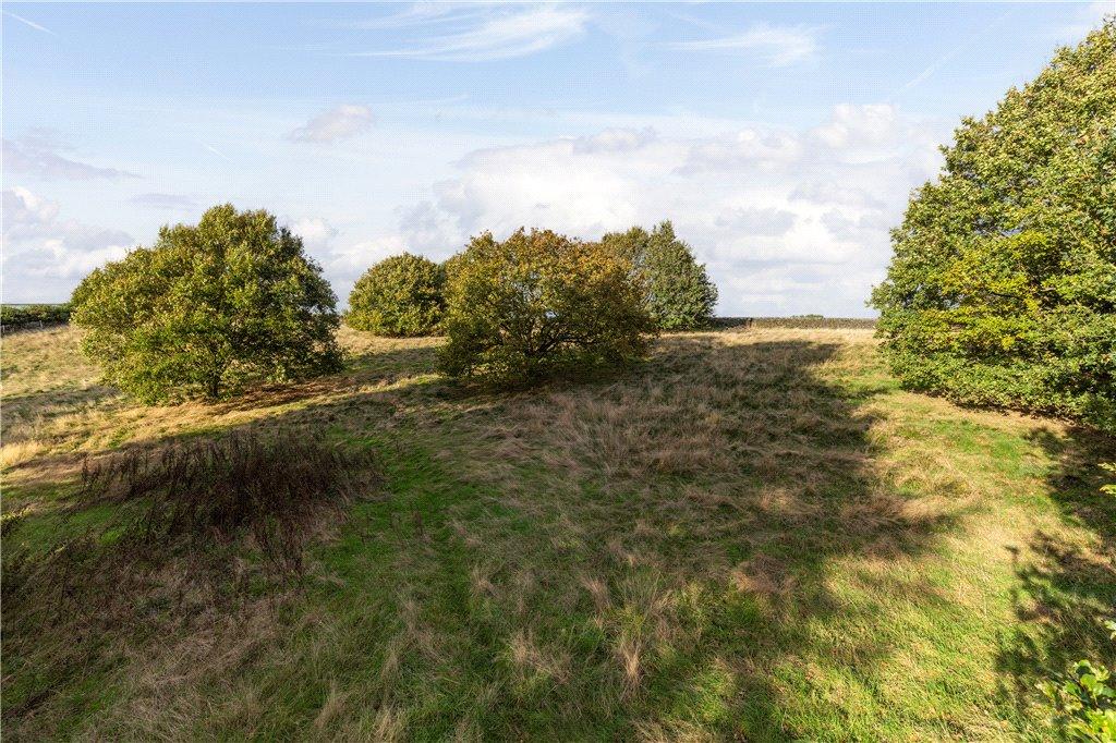 Expansive Land