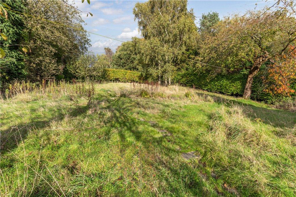 Expansive Land