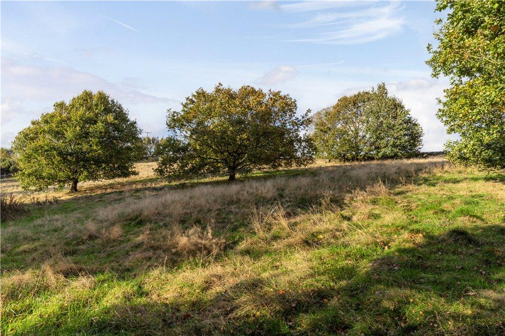 Expansive Land