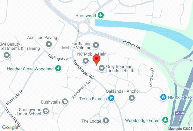 Google Maps Image