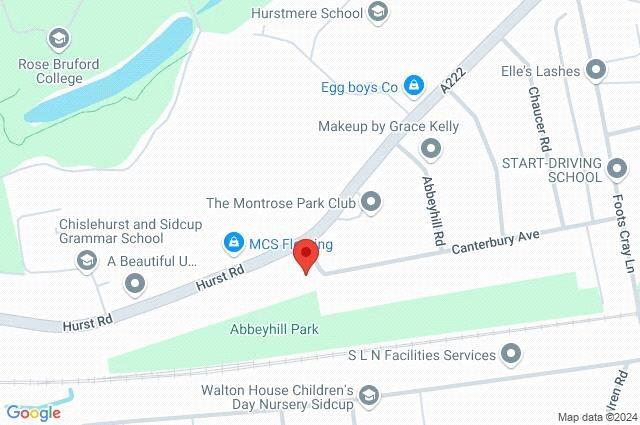 Google Maps Image