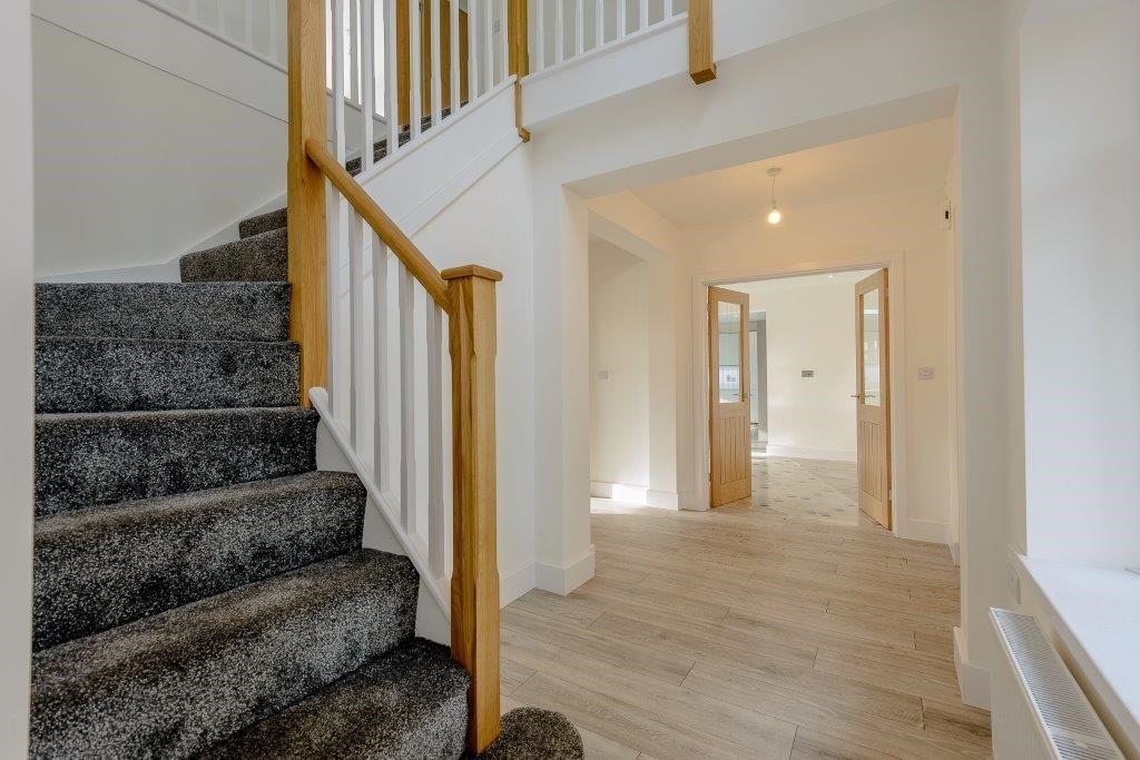 Downstairs new 2