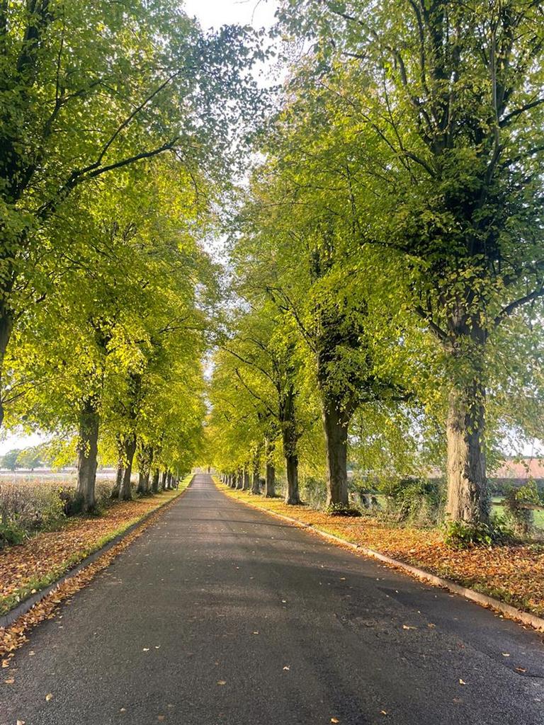 Vendor Supplied Access Road