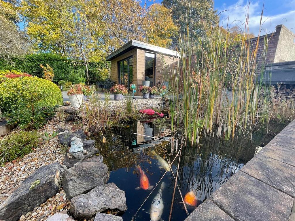 Fish Pond.jpg