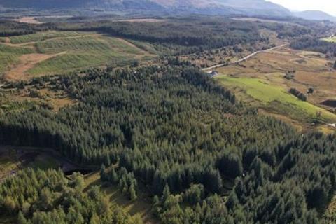 Land for sale, Heritage Woodland, Achnabobane, Spean Bridge PH34