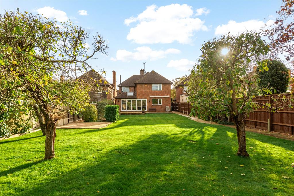 Garden and Rear