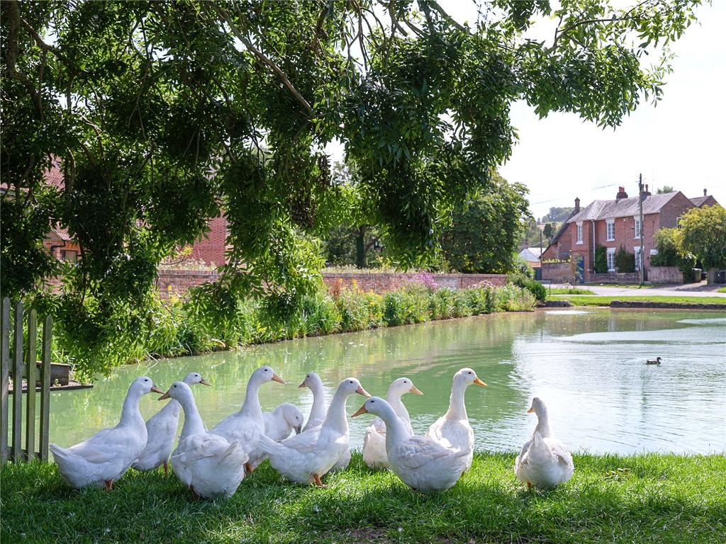 Village Pond