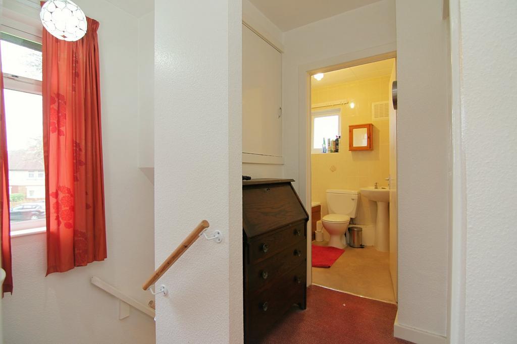 Picture 8