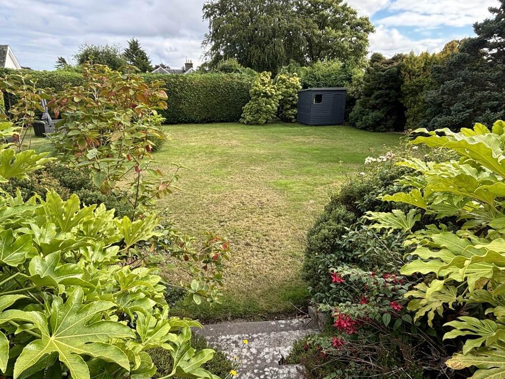 Communal garden Tayc