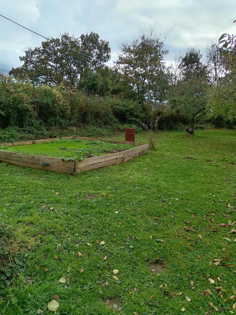 Veg Plot