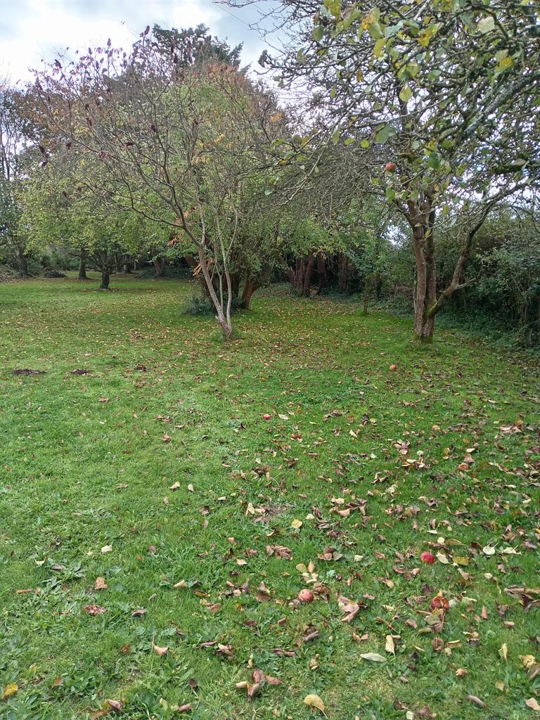 Large Garden