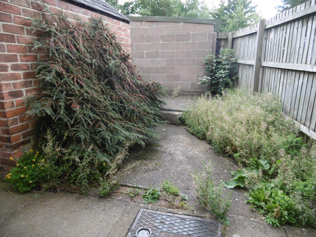 Saxby road garden.JPG