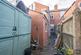 20241028-DSC01111-Enhanced-NR20241028