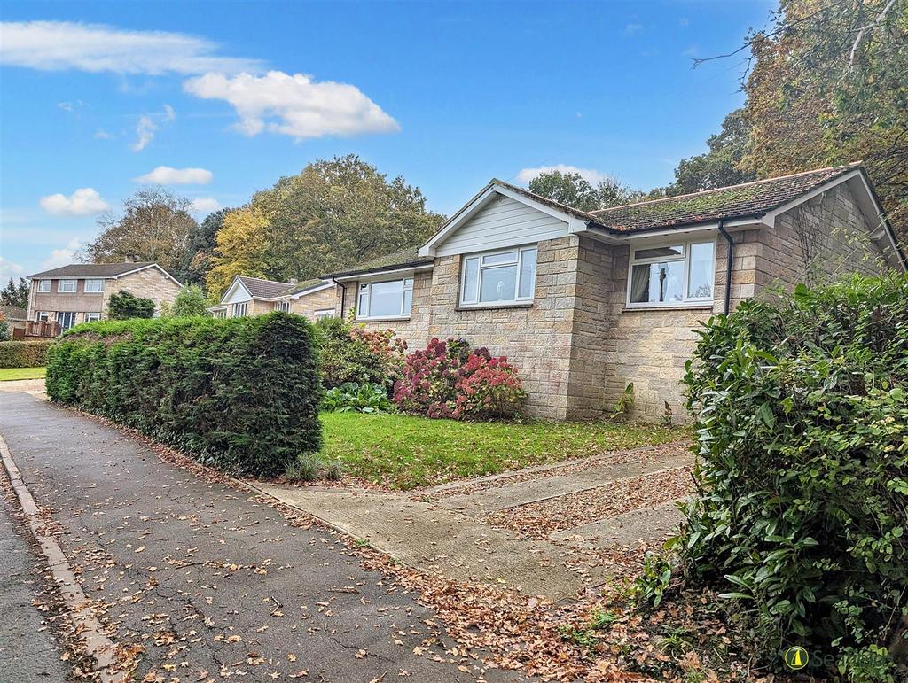 Front and driveway