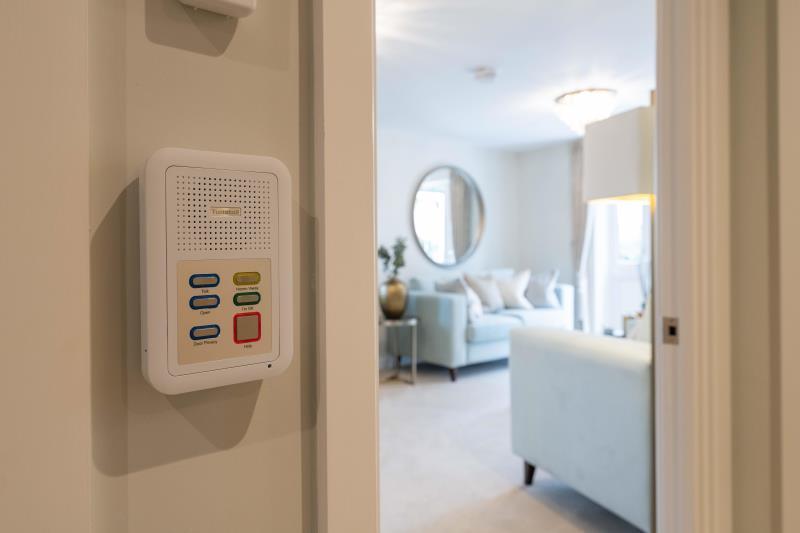 Alarm and entry buzzer