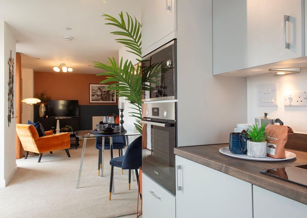 Open Plan Kitchen and Living Room