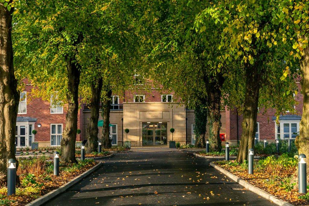 The tree lined driveway