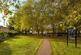 Jesus Green