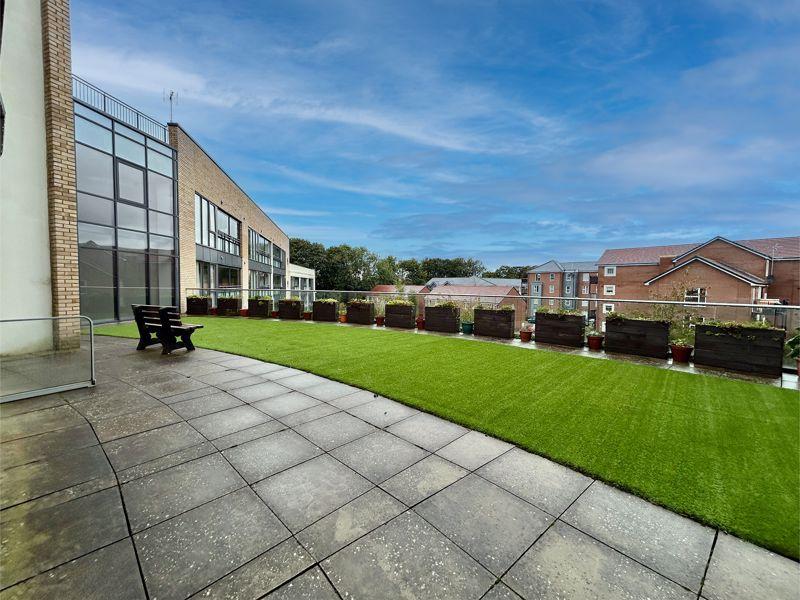 Patio Area