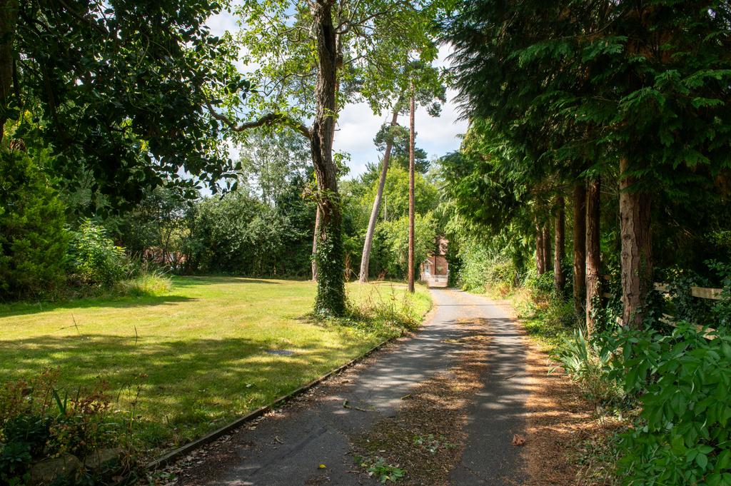 Driveway