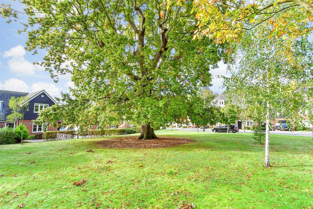 Surrounding Area