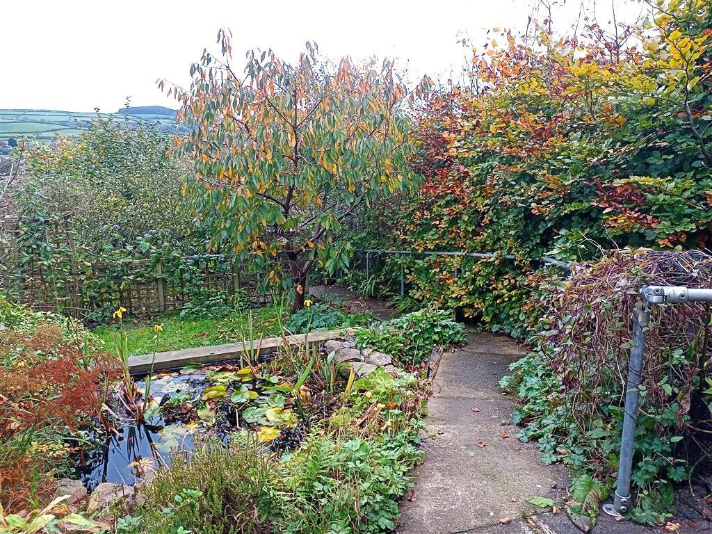 Pond And Rear Gardens