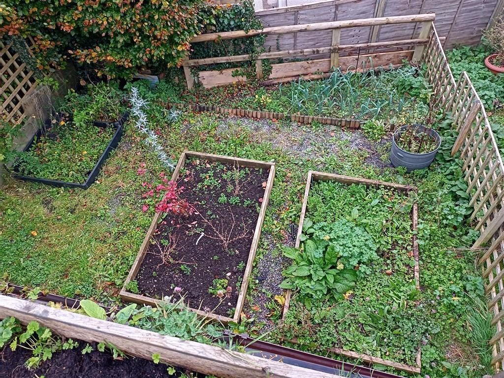 Raised Beds