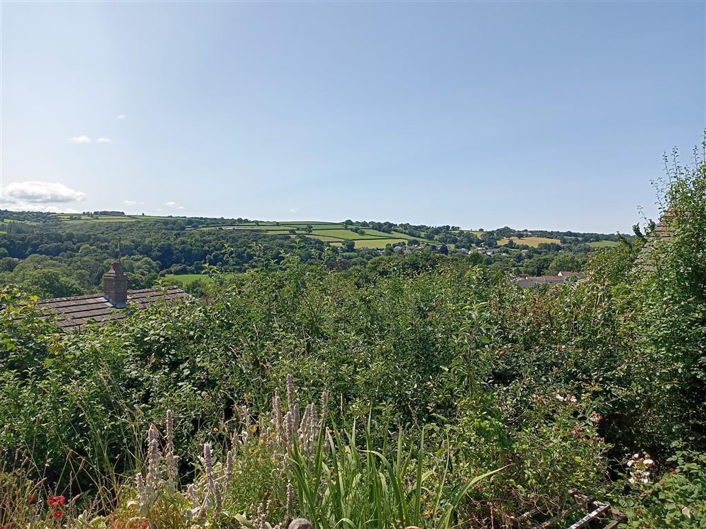 View From Roof Terrace