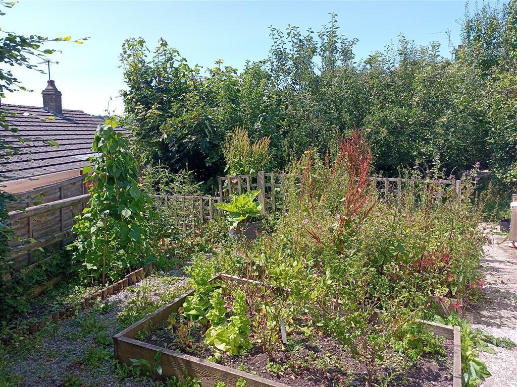 Raised Bed Area
